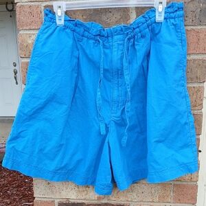 🤎Essentials Sport Blue Shorts